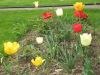 Filename=phpHRhY0GPM.jpg
Filesize=127KB
Dimensions=600x450
Date added=Apr 25, 2010 phpHRhY0GPM.jpg